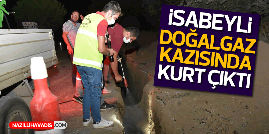 İSABEYLİ DOĞALGAZ KAZISINDA KURT ÇIKTI