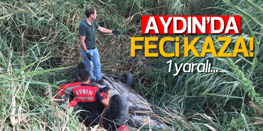 Aydın'da otomobil devrildi: 1 yaralı