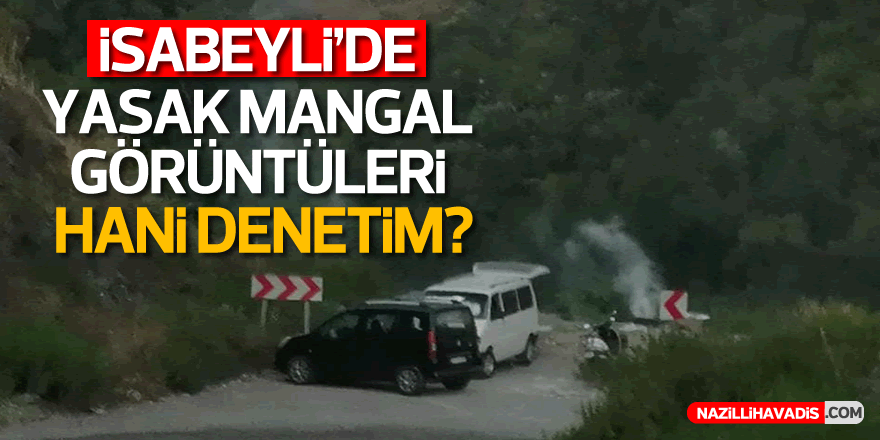 İsabeyli'de yasak mangal görüntüleri: "Hani denetim?"