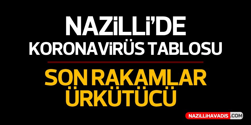 Nazilli'de Koronavirüs Bilançosu Belli Oldu