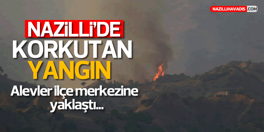 Nazilli'de korkutan yangın!