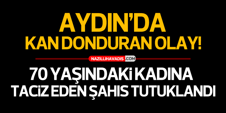 AYDIN'DA YAŞLI KADINA TACİZ EDEN ŞAHIS TUTUKLANDI