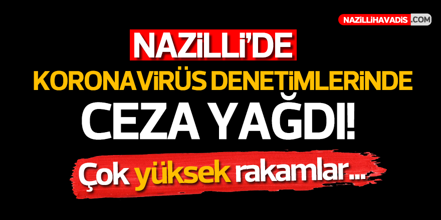 Nazilli'de Yapılan Sıkı Denetimlerin Bilançosu Açıklandı!