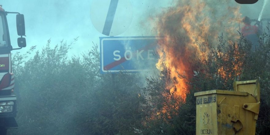 Rüzgarın etkisiyle yayıldı! Evler tahliye edildi