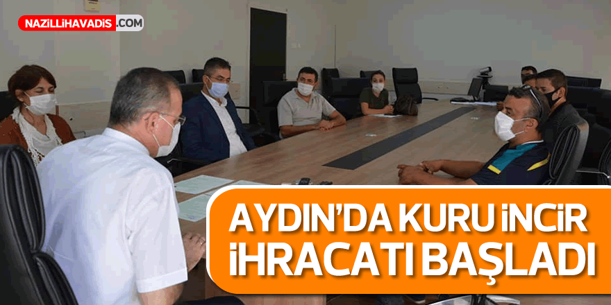 Aydın’da  kuru incir ihracatı başladı