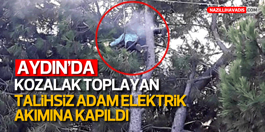 Kozalak toplayan adam yüksek gerilim hattına yakalanarak can verdi