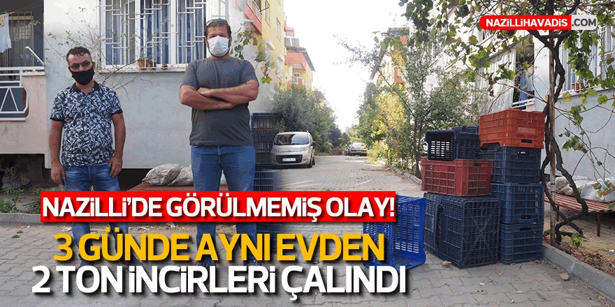 Nazilli’de 3 günde aynı evden 2 ton incir çaldılar