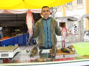 Barajlar Vatandaşa Hem Su Hem Ekmek Oldu