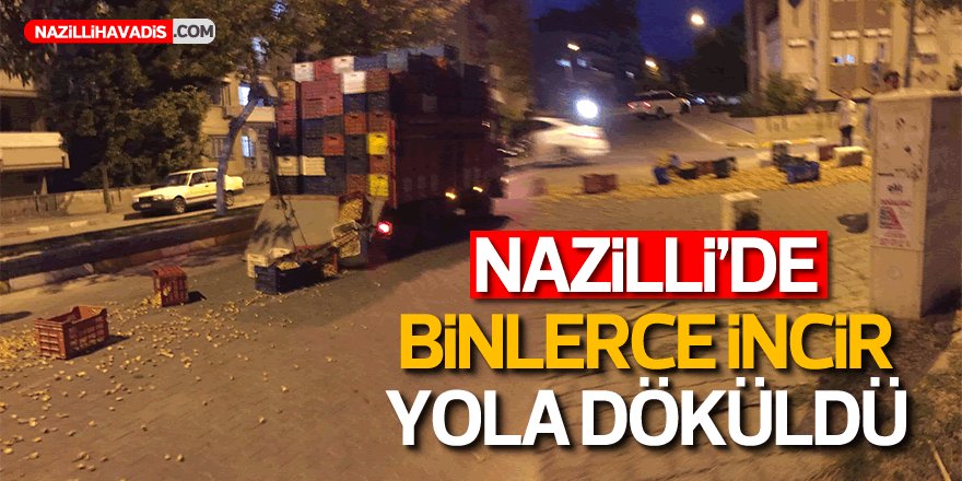 NAZİLLİ'DE BİNLERCE İNCİR YOLA DÖKÜLDÜ