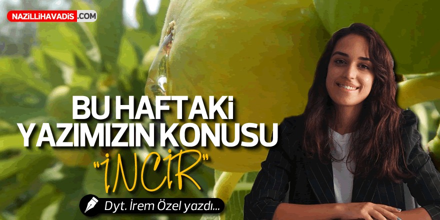 "İNCİR"