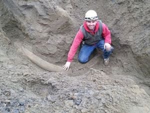 Buzul Çağı’ndan Kalma Fildişi Bulundu