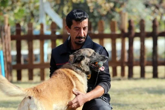 AKUT'un köpeği "Bob" İzmir'deki çalışmalara büyük katkı sağladı