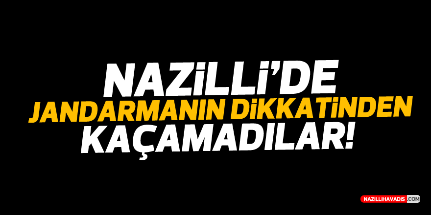 Nazilli'de jandarmanın dikkatinden kaçamadılar