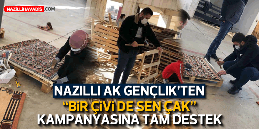 NAZİLLİ AK GENÇLİK'TEN  "BİR ÇİVİ DE SEN ÇAK" KAMPANYASINA TAM DESTEK