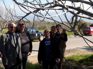 İncir Yetiştiriciliğinde Uygulamalı Budama Eğitimi