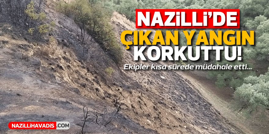 Nazilli'de korkutan yangın