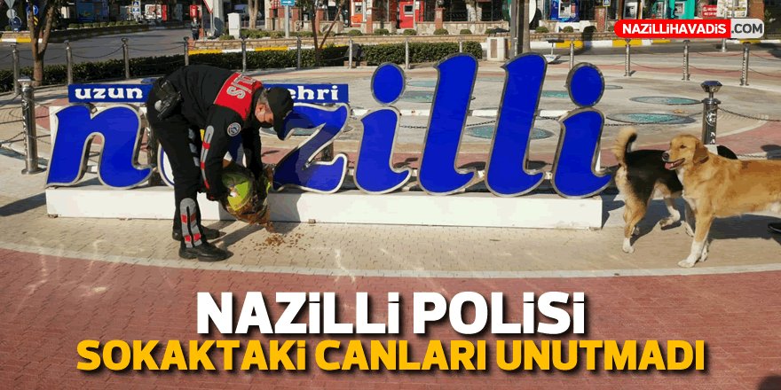 Nazilli polisinden sokak hayvanlarına şefkat eli