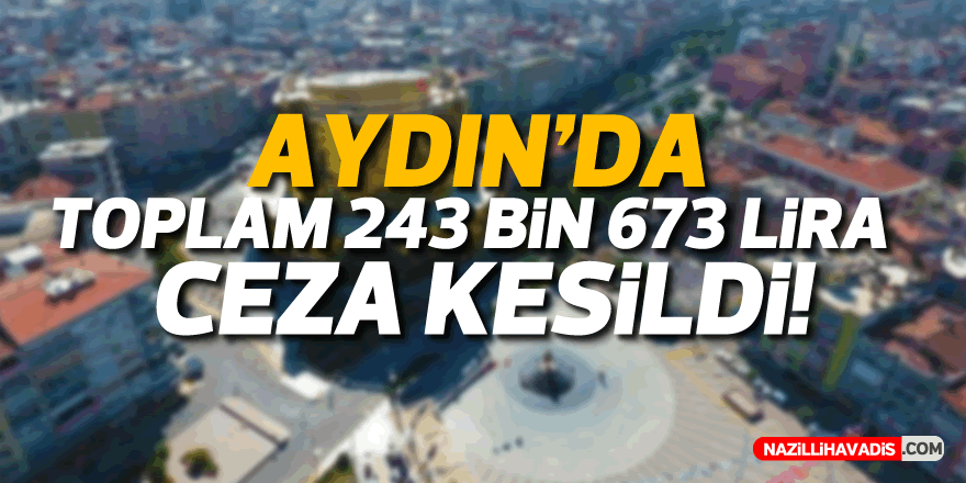 Aydın’da toplam 243 bin 673 lira ceza kesildi