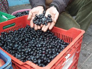 Zeytin'de Hasat Sonu Yaklaştı