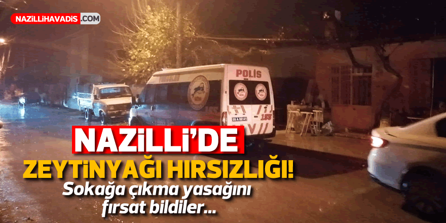 Nazilli'de sokağa çıkma yasağını fırsat bildiler