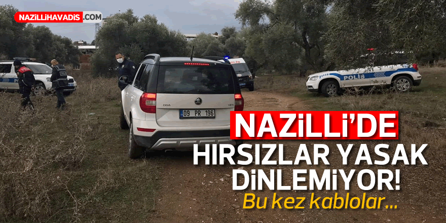 NAZİLLİ'DE HIRSIZLAR KOL GEZİYOR!