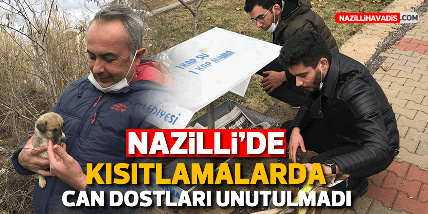 Nazilli’de kısıtlamada can dostları unutulmadı