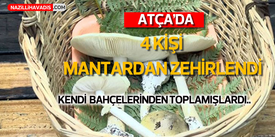 Atça’da 4 kişi yedikleri mantardan zehirlendi