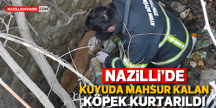 Nazilli'de 7 gün boyunca kuyuda mahsur kalan köpeği itfaiye kurtardı