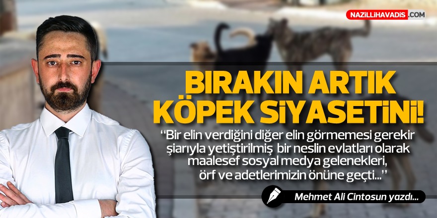 BIRAKIN ARTIK KÖPEK SİYASETİNİ!