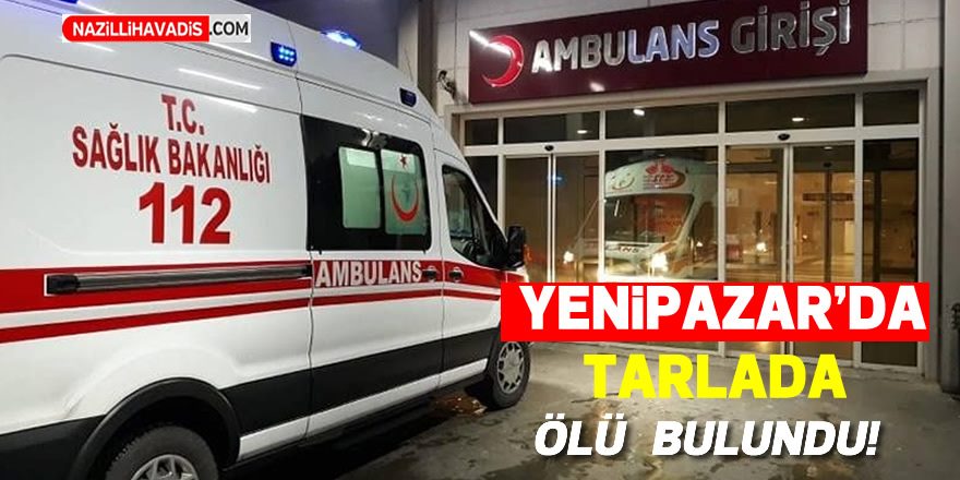 Yenipazar’da tarlada ölü bulundu