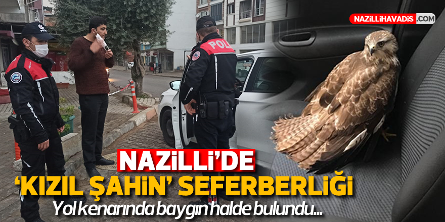 Nazilli'de "Kızıl Şahin" seferberliği