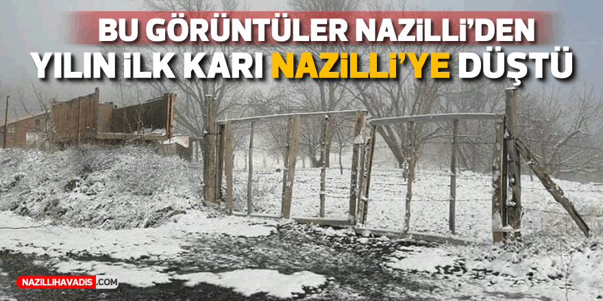 BU GÖRÜNTÜLER NAZİLLİ'DEN!