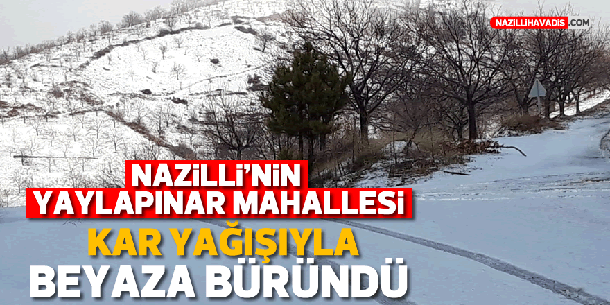 Yaylapınar Mahallesi kar yağışıyla beyaza büründü