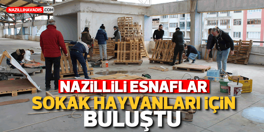 NAZİLLİLİ ESNAFLAR SOKAK HAYVANLARI İÇİN BULUŞTU