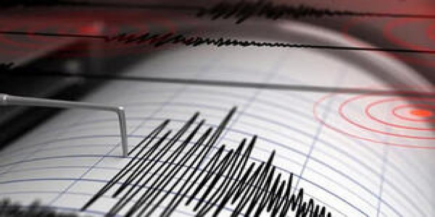 Muğla'da 4,3 şiddetinde deprem