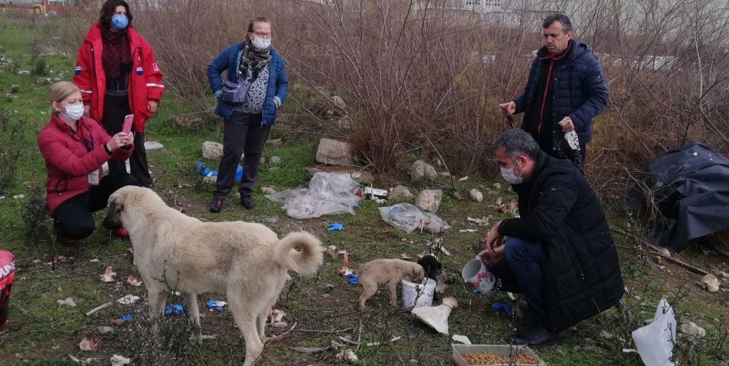 Aydın Valiliği sokak canlarını unutmadı