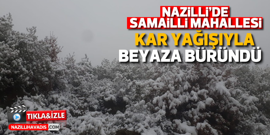 NAZİLLİ'NİN SAMAİLLİ MAHALLESİ BEYAZA BÜRÜNDÜ