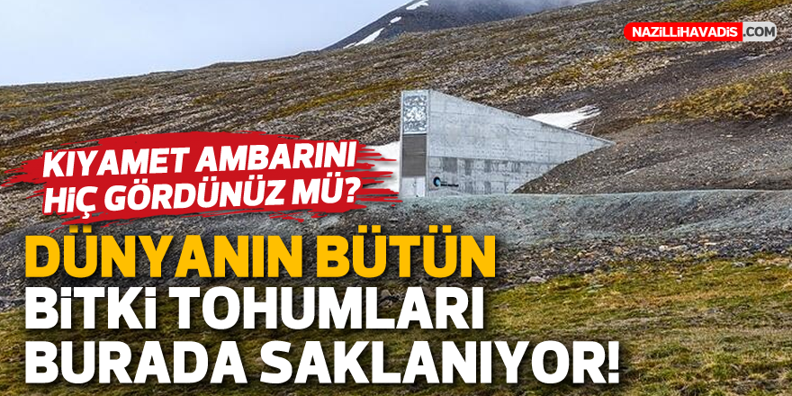 Kıyamet ambarını hiç gördünüz mü?