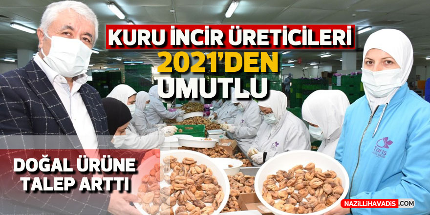 Kuru incir üreticileri 2021'den umutlu