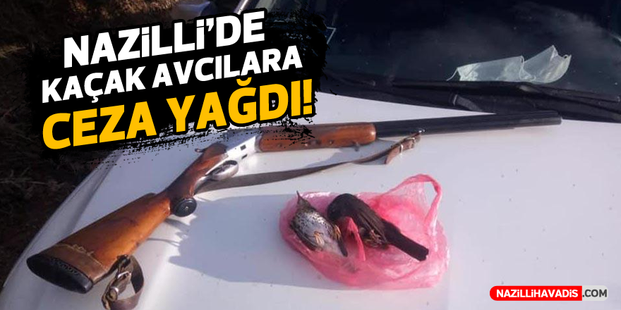 Nazilli'de kaçak avcılara ceza yağdı