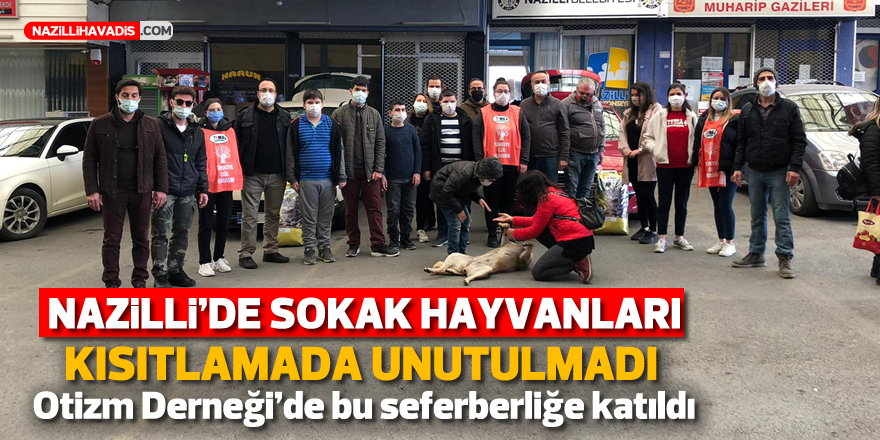 Nazilli'de sokak hayvanları kısıtlamada unutulmadı