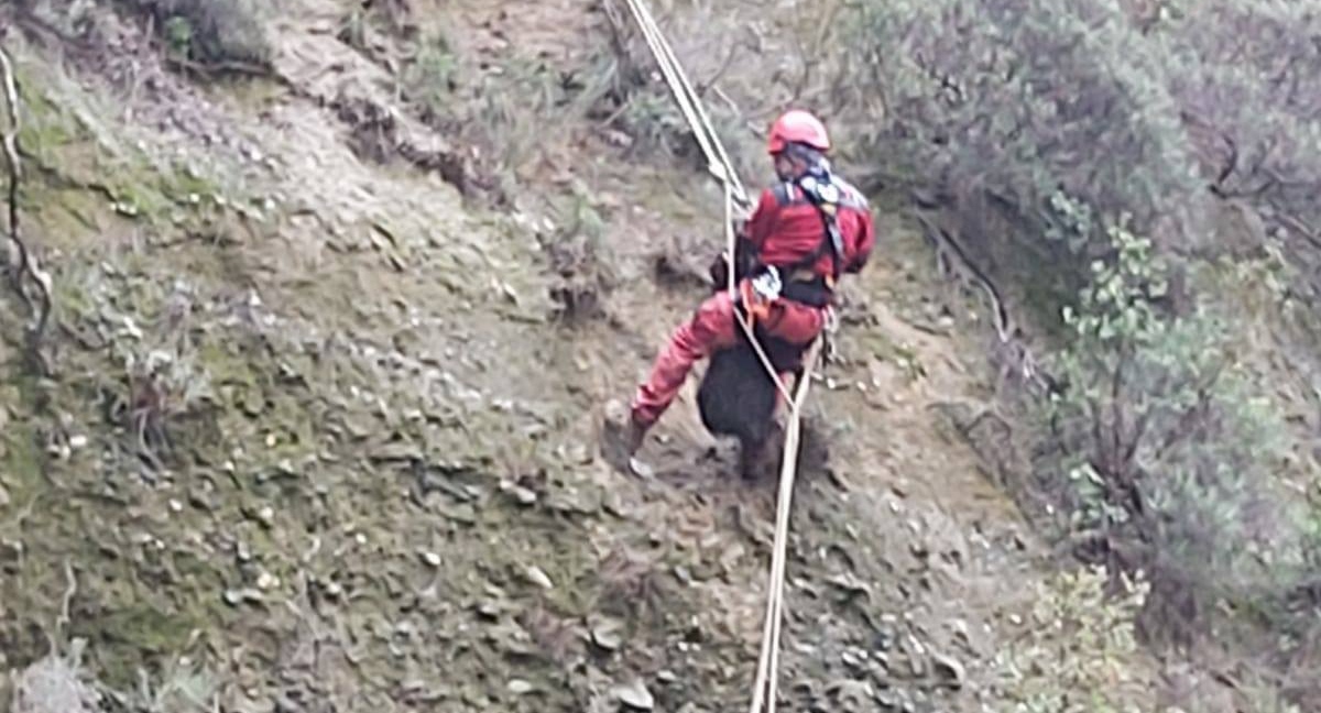 Söke’de keçi kurtarma operasyonu