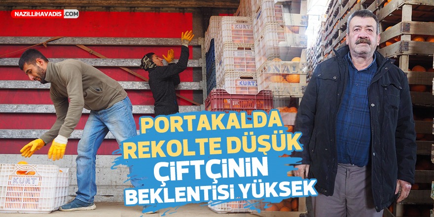 Portakalda rekolte düşük, çiftçinin beklentisi yüksek