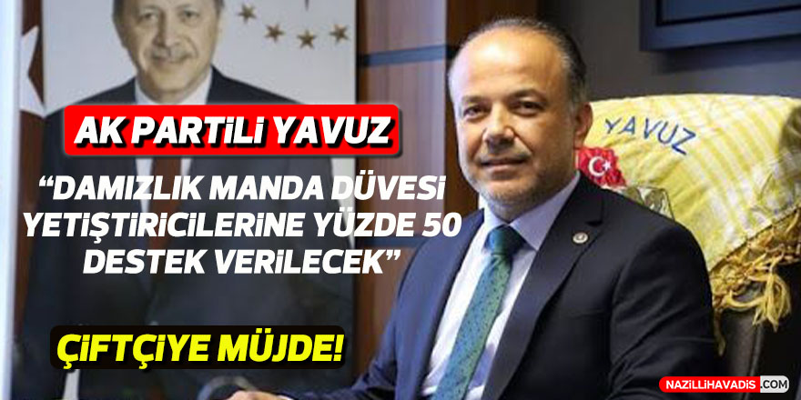AK Partili Yavuz: "Damızlık manda düvesi yetiştiricilerine yüzde 50 destek verilecek"