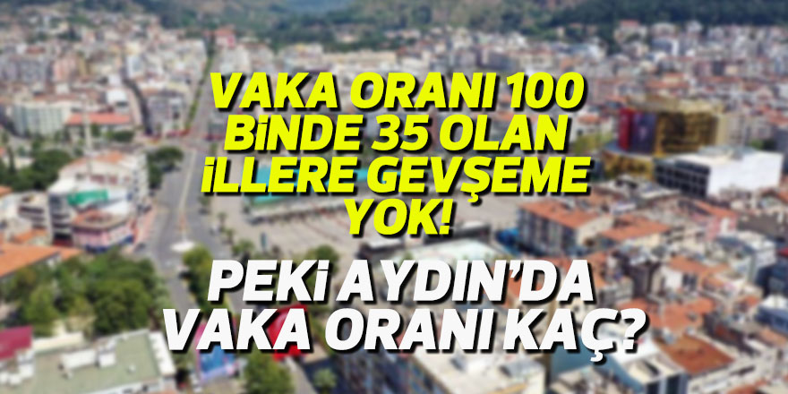 Vaka oranı 100 binde 35 olan illere gevşeme yok. Peki Aydın ne durumda?