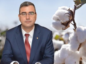 Söke Ovası 2013 Yılında Tarihi Pamuk Verimi Elde Etti