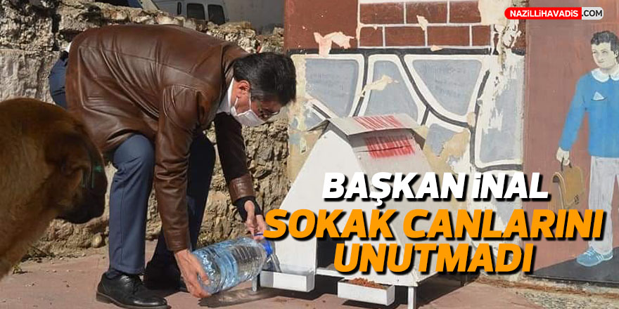 Başkan İnal, sokak canlarını unutmadı