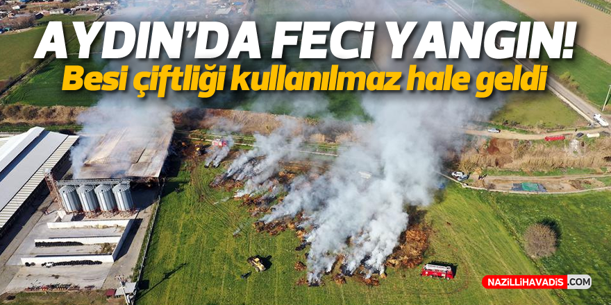 Aydın'da besi çiftliğinde feci yangın!
