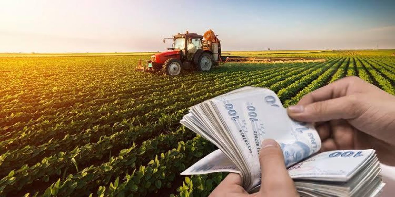 Aydın’da çiftçinin hesabına 49 milyon lira yatacak