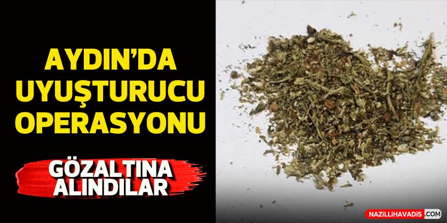 Aydın’da  uyuşturucu operasyonu